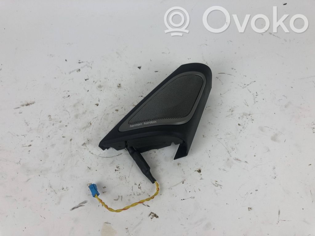 Altavoz de alta frecuencia en la puerta delantera   2582486,241094001