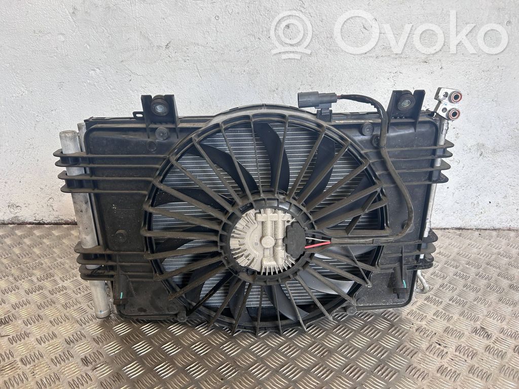 Kit Radiateur   111561600A,103485000F