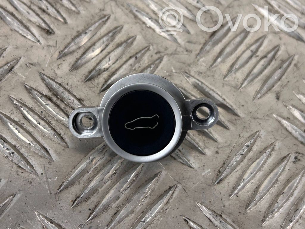 Tailgate/boot open switch button   104262900B