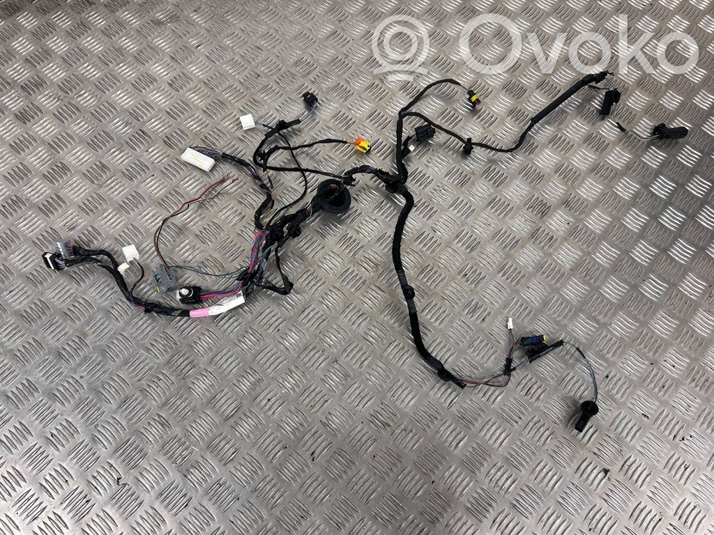 Cableado de puerta trasera   103244290G
