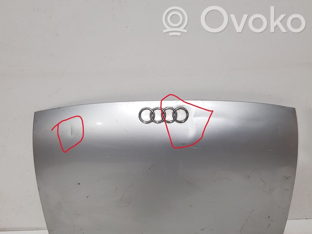 Audi TT Mk1 Puerta del maletero/compartimento de carga 