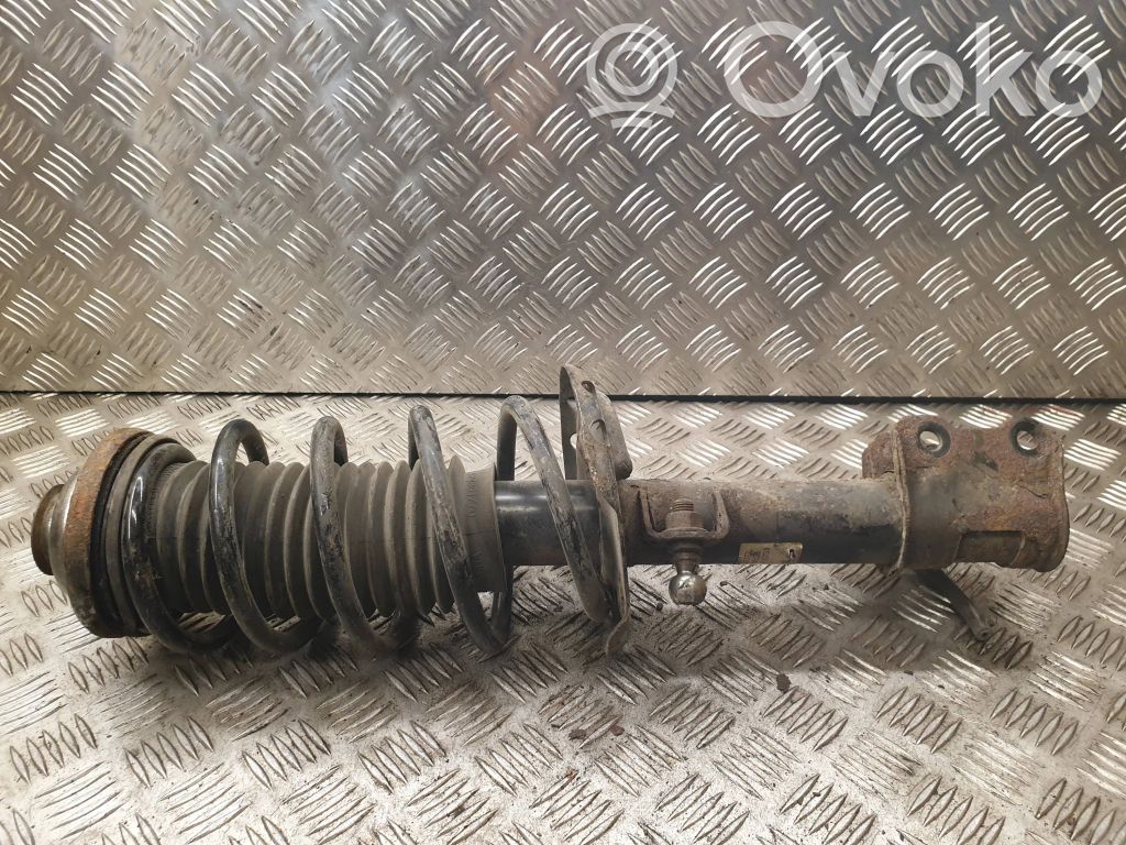 Amortyzator osi przedniej ze sprężyną   22242772