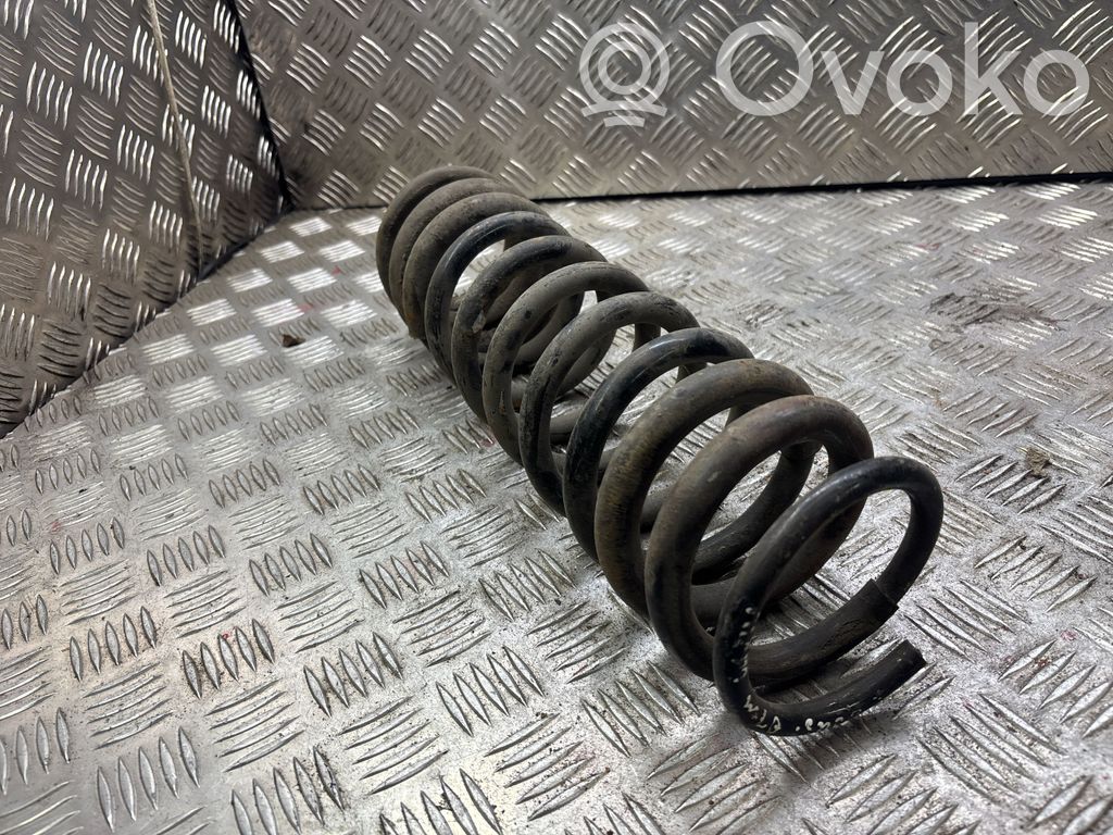 Rear coil spring