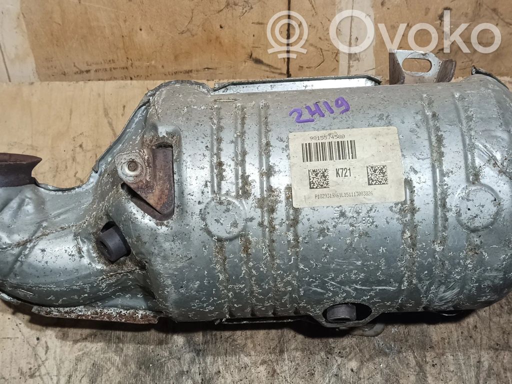 Peugeot 508 Filtru de particule catalizator/FAP/DPF 