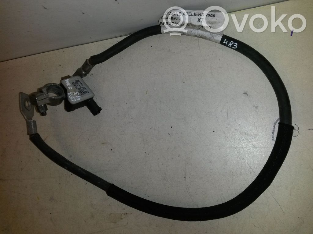 Citroen C5 Minus / Klema / Przewód akumulatora 