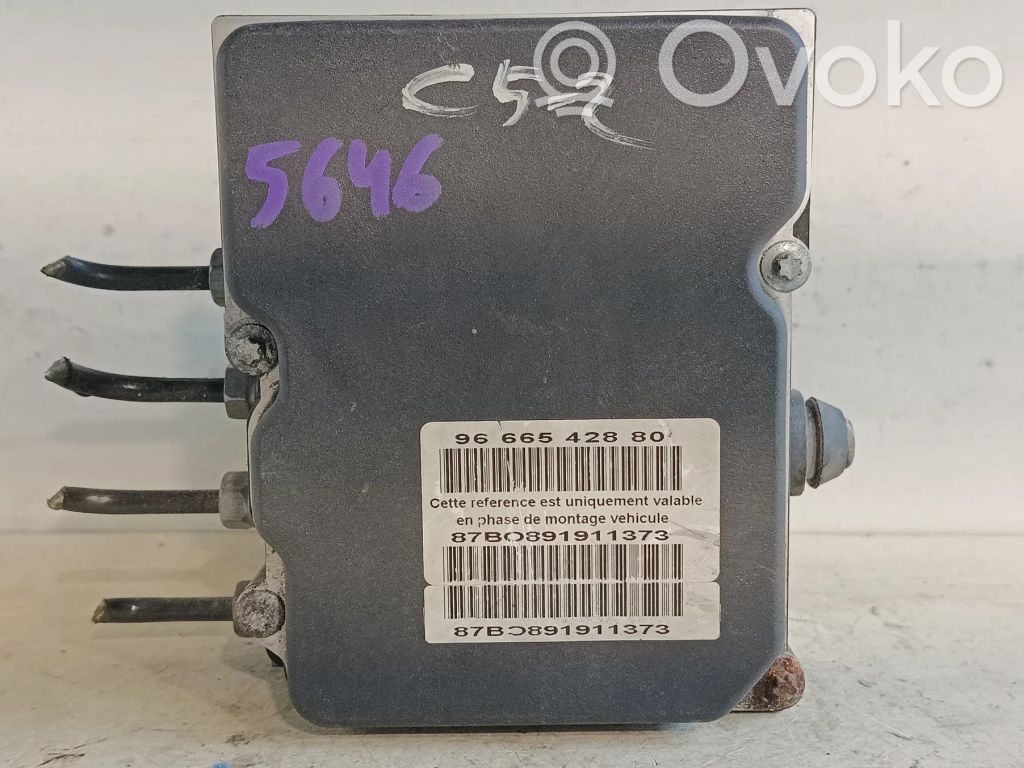 ABS Pump   0265951393,9666542880,9662131280