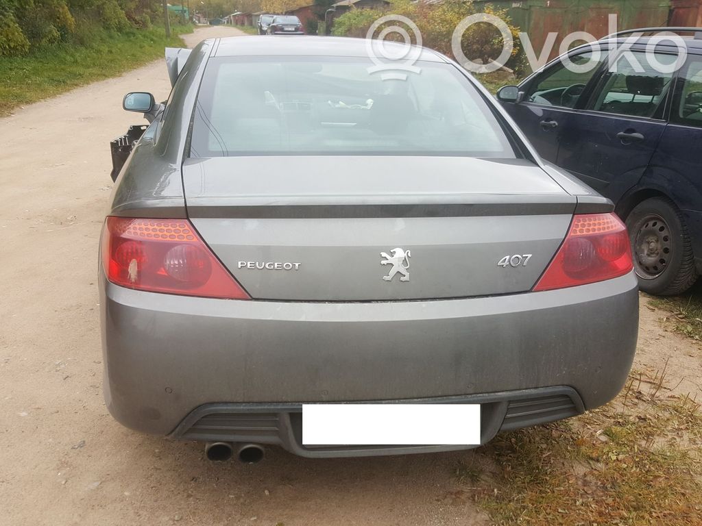 Peugeot 407 Puerta del maletero/compartimento de carga 