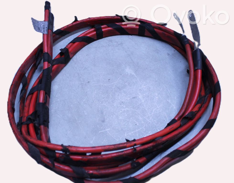Positive cable (battery)   6926796,533823