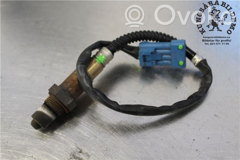 Sonde lambda   55353148,0258006623
