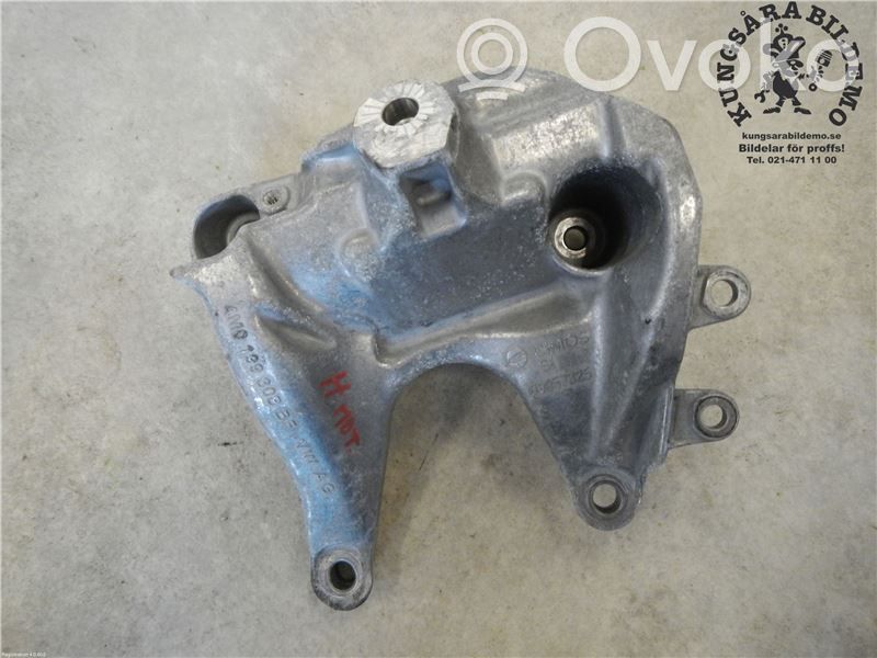 Porsche Cayenne (9PA) Engine mounting bracket 