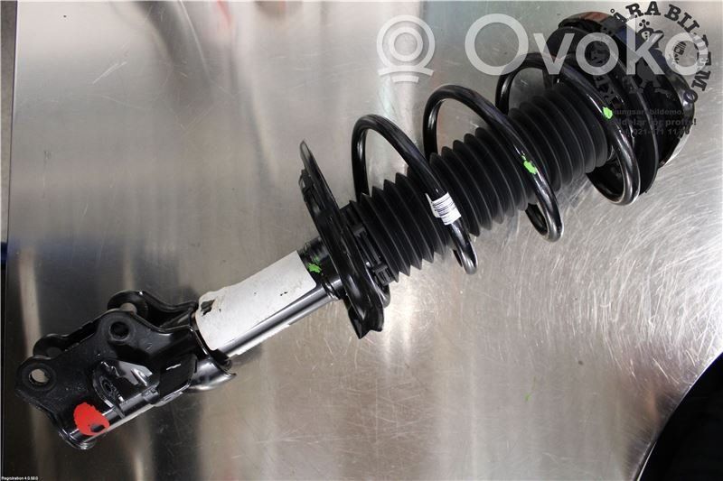 Ford Focus Front shock absorber with coil spring 