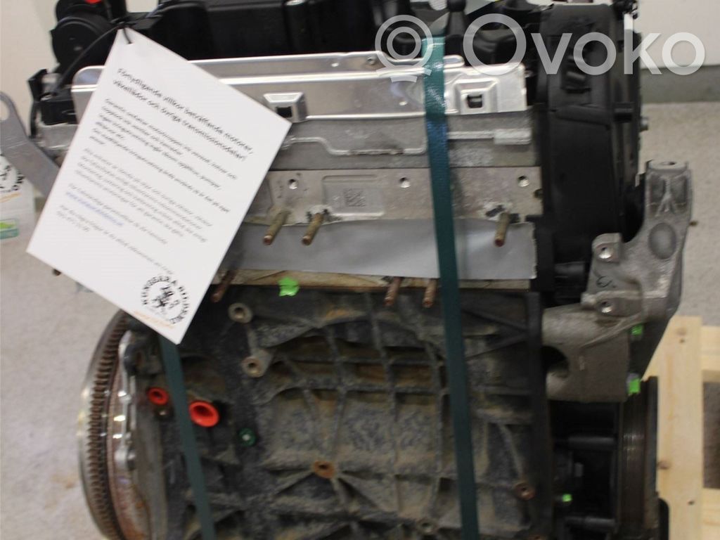 Motor   05L100031S,DTTC