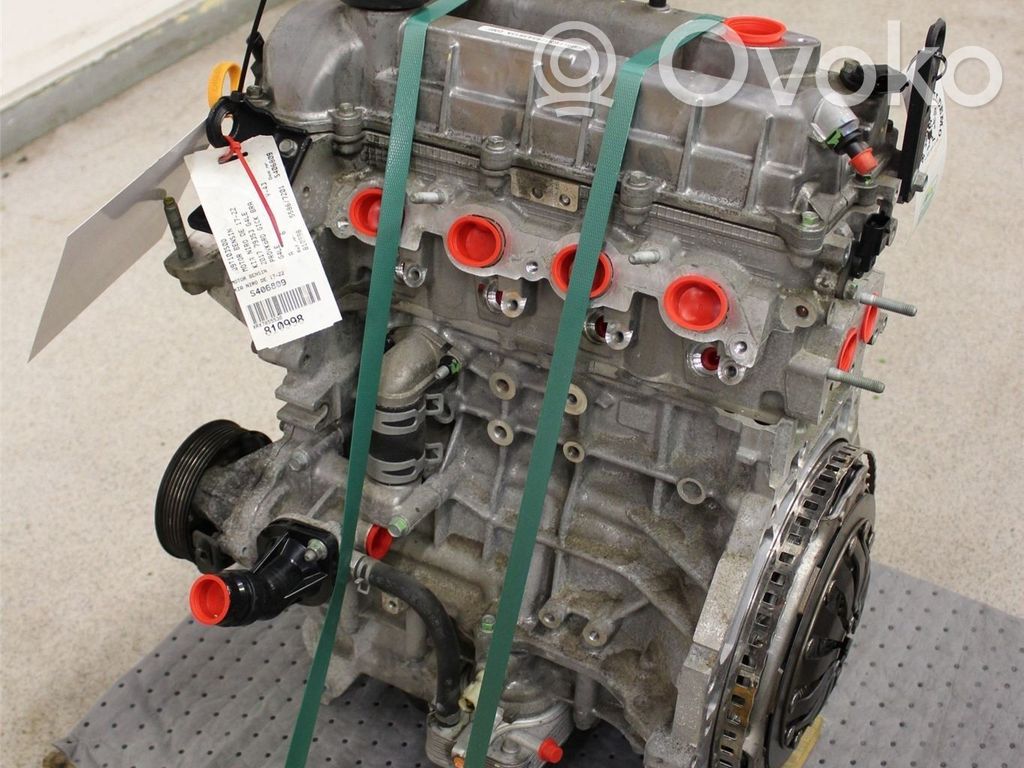 KIA Niro Variklis 