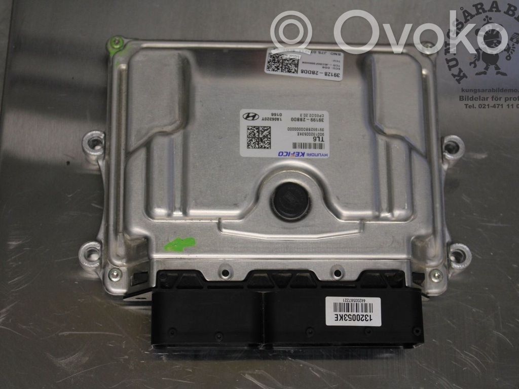 Injection control unit/module   391282BDD8,391282BDD8,391282BDD8