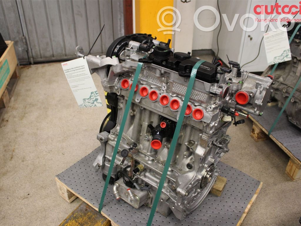 Variklis   36010312,B4204T34