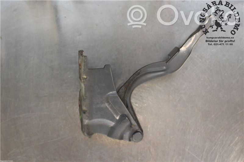 Hyundai Santa Fe Engine bonnet/hood hinges 