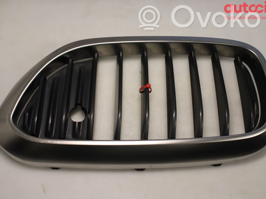 BMW 5 G30 G31 G38 Grilă inferioară bară față 