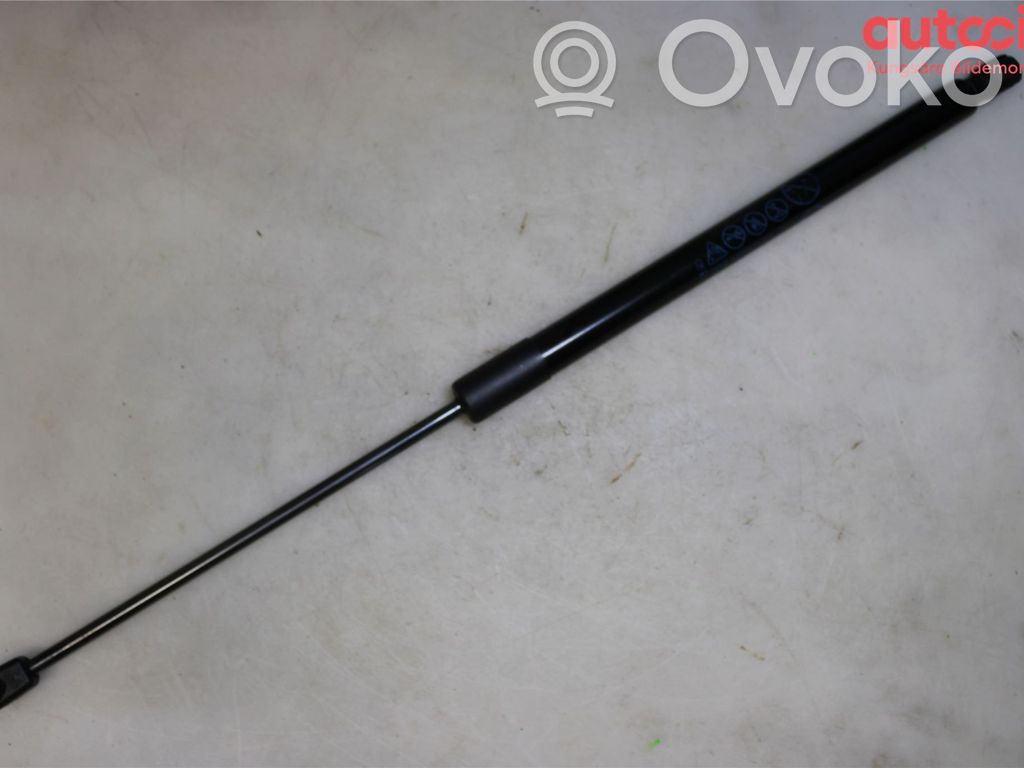 Ford Focus Tailgate strut 
