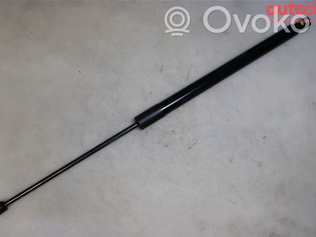 Ford Focus Tailgate strut 