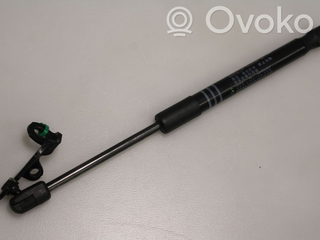 BMW 5 F10 F11 Vérin, capot-moteur