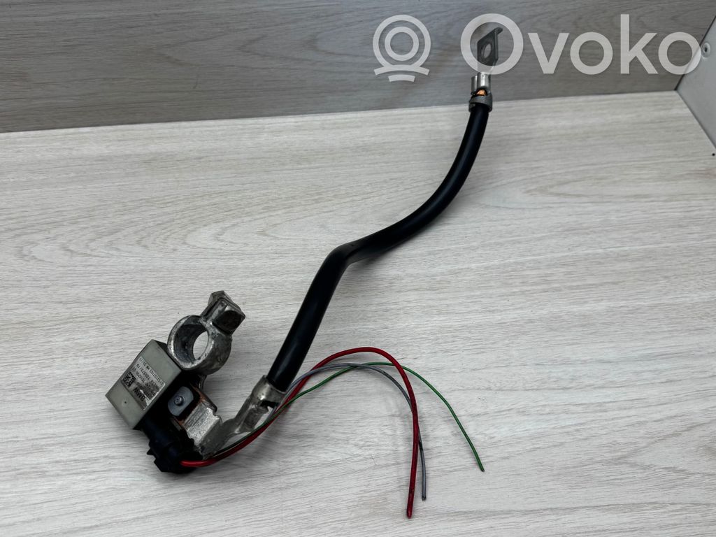Negative earth cable (battery)   7616200