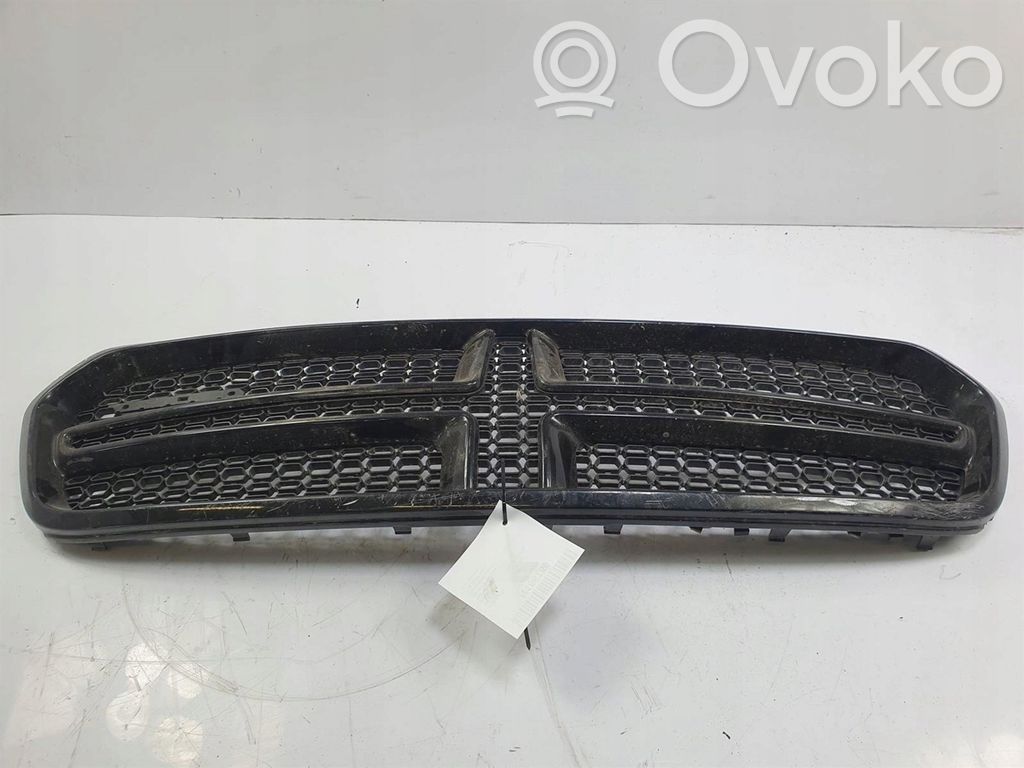 Front grill   DG0709201