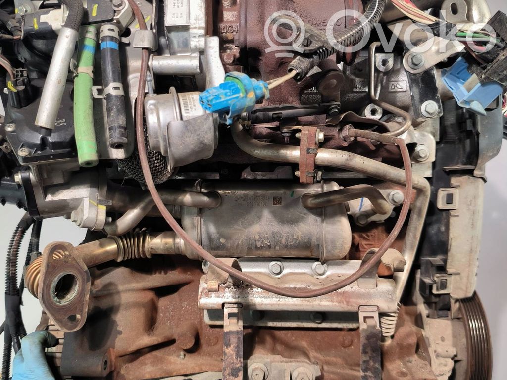 Motor