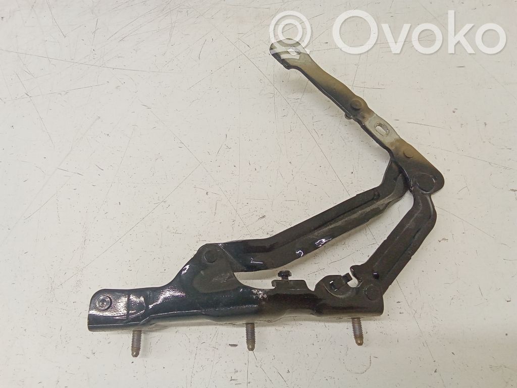 Tesla Model 3 Tailgate/trunk/boot hinge 