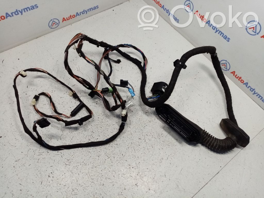 BMW X1 E84 Cableado de puerta delantera 