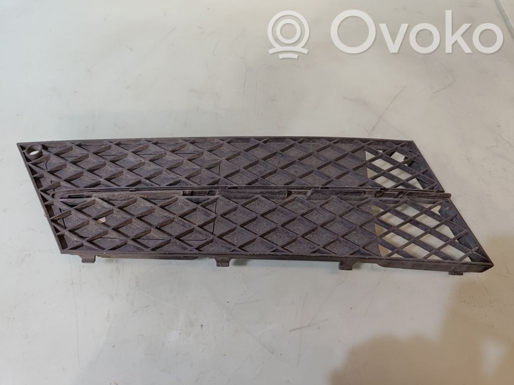 Front bumper lower grill   51117178098