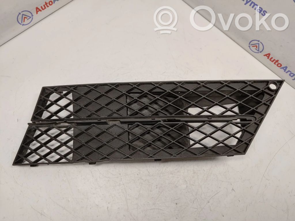 Front bumper lower grill   51117178109