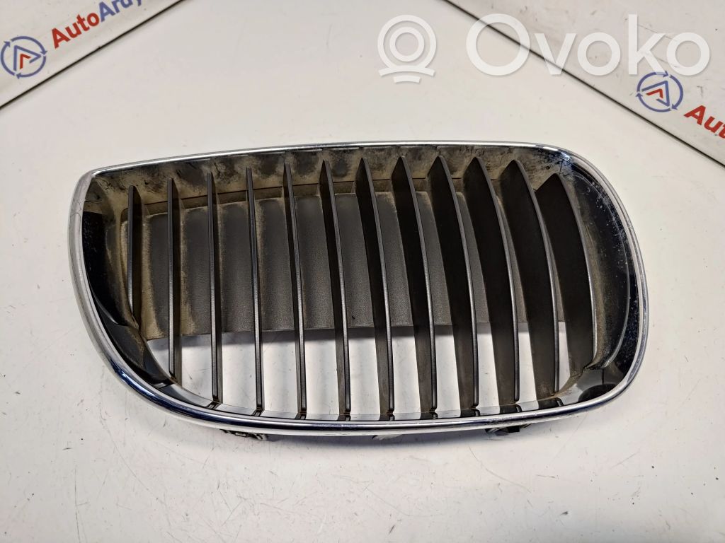 Front grill   51137127228