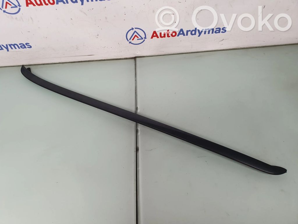 Windshield trim   7250395,51317250395