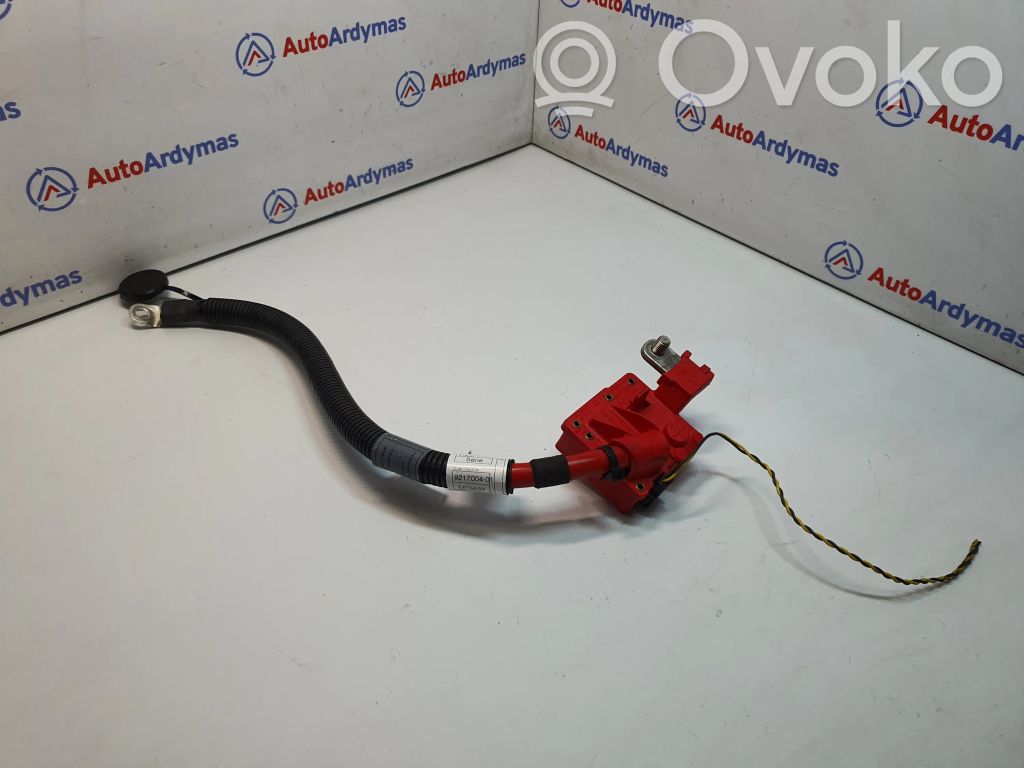 BMW X5 E70 Positive cable (battery) 
