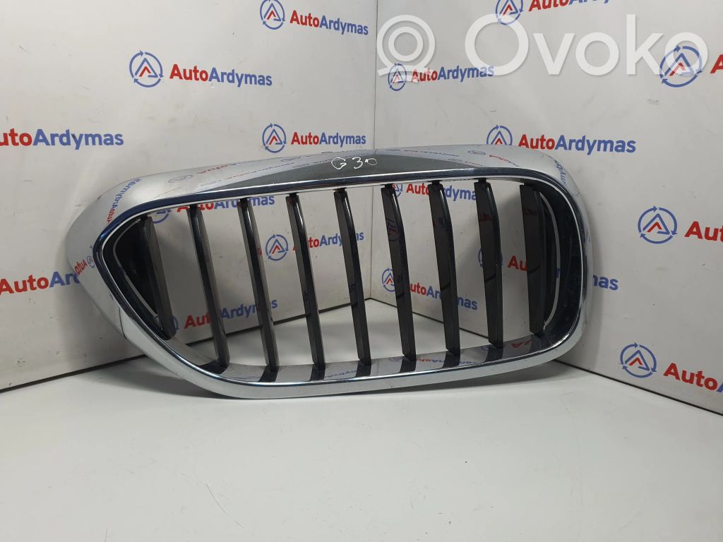 BMW 5 G30 G31 G38 Augšējais režģis 