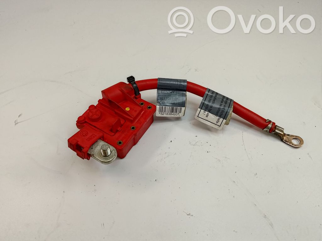Positive cable (battery)   9217017,61129217017