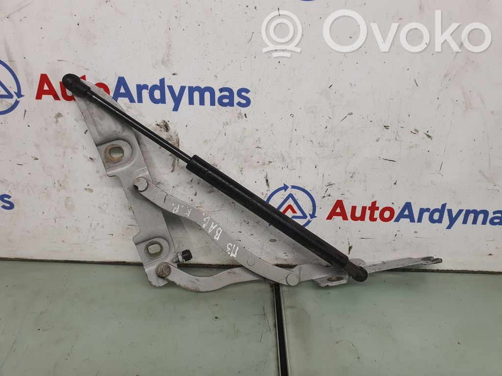 BMW M3 Aizmugurējā pārsega eņģe (-ess) 