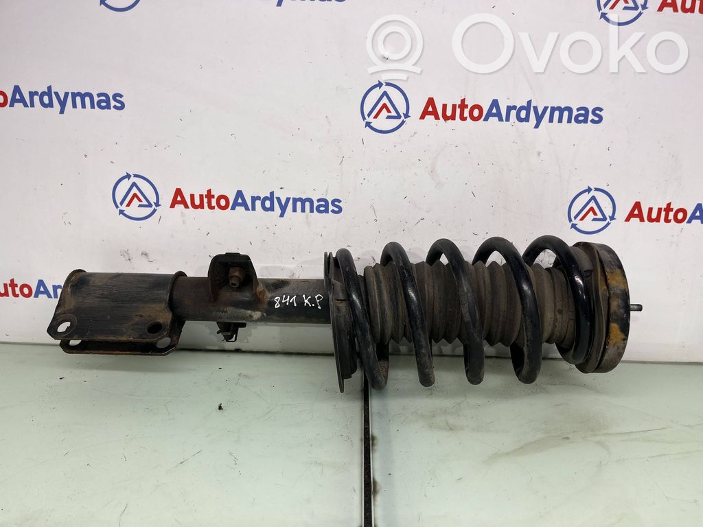 BMW X5 E53 Priekšpusē amortizators 
