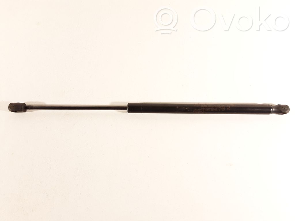 Dodge Caliber Tailgate/trunk strut/damper 