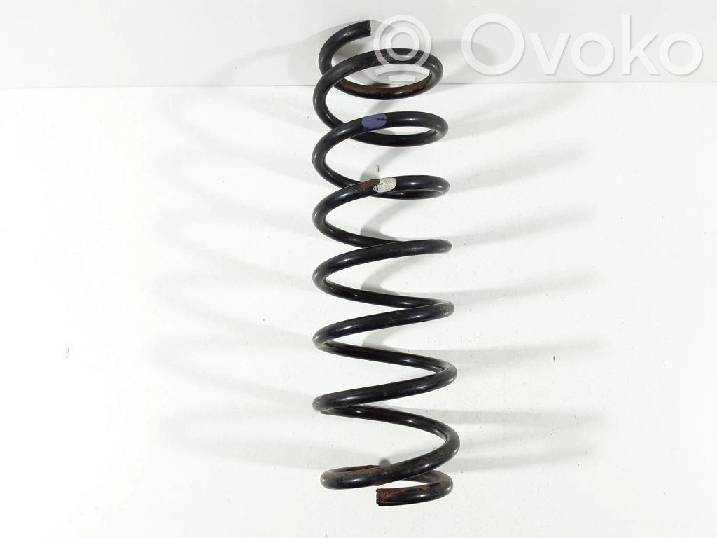 Front coil spring