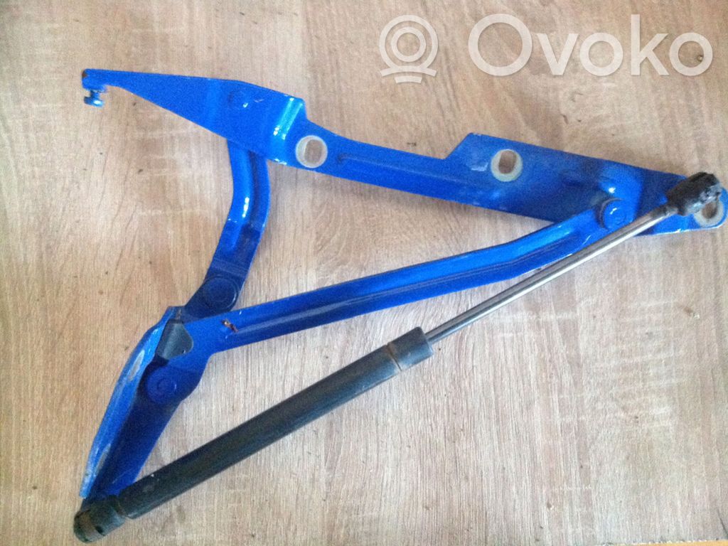 Tailgate/trunk/boot hinge