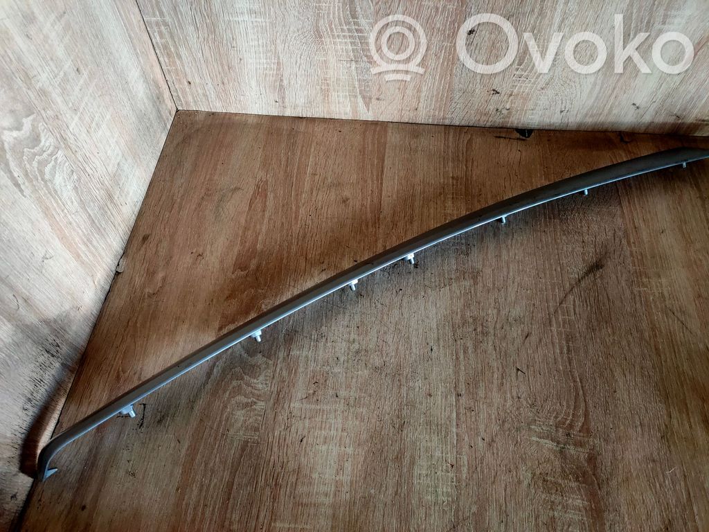 Front door trim bar   7121473