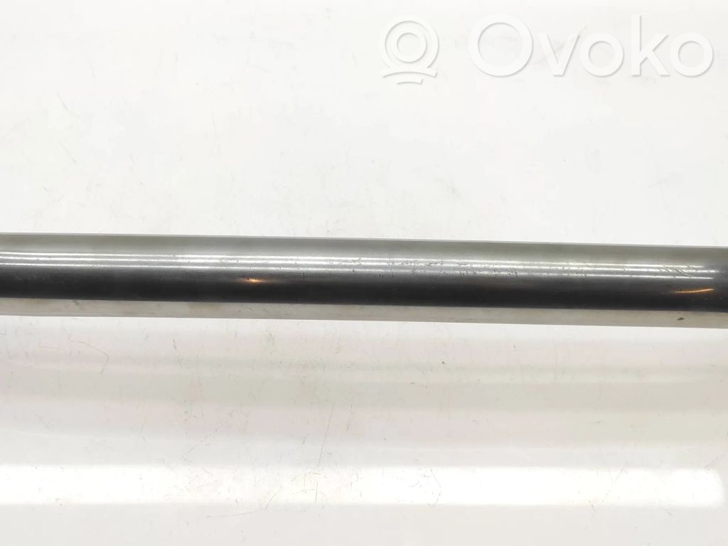 Tailgate trunk handle