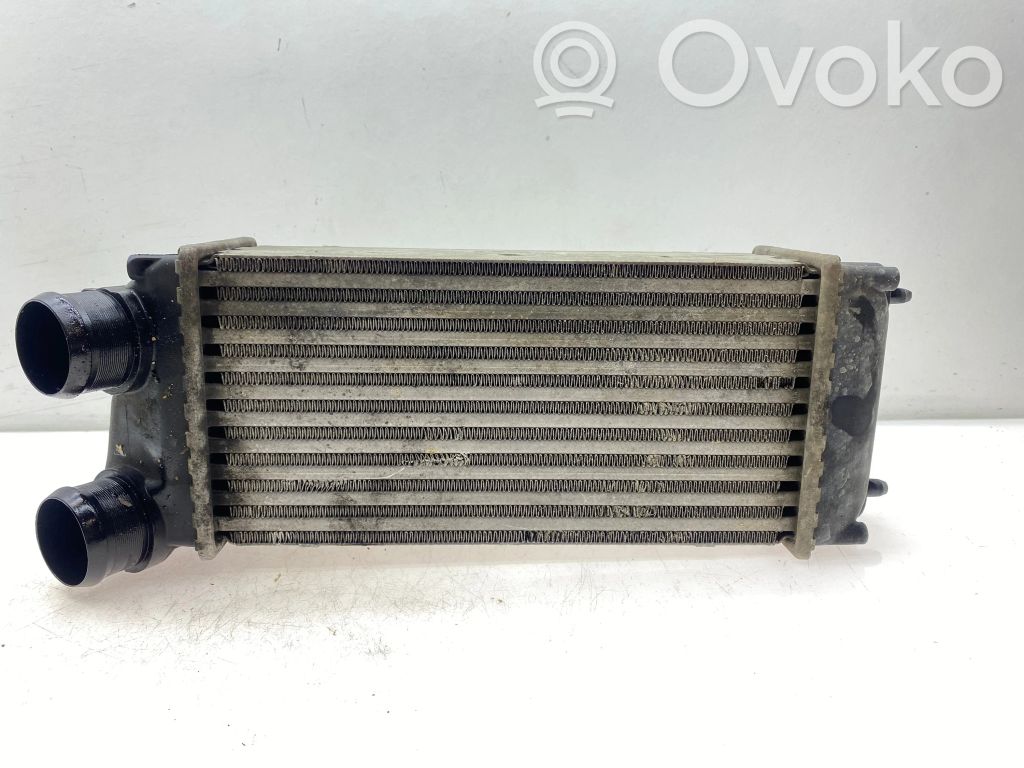 Peugeot 307 Intercooler radiator 