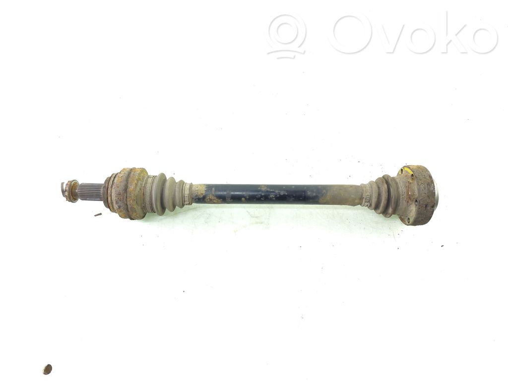 Aizmugurējā pusass   7521630