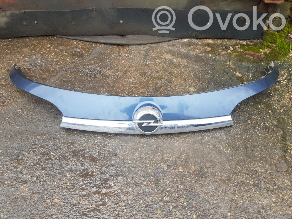 Opel Insignia A Éclairage de plaque d'immatriculation 