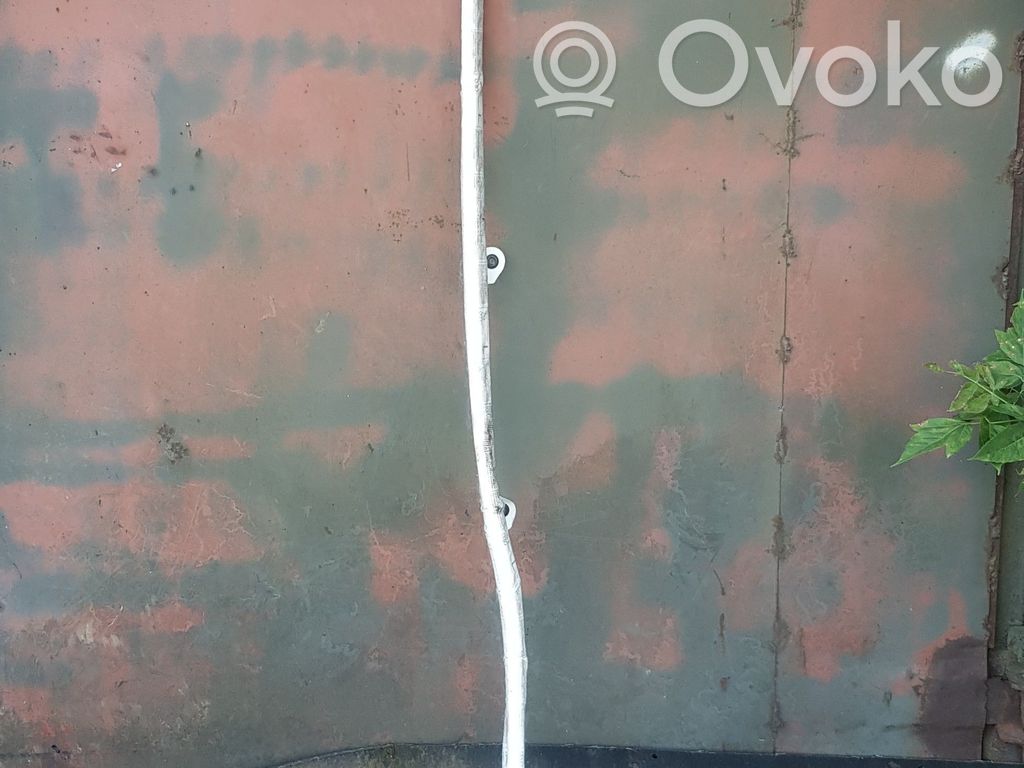 Audi A8 S8 D3 4E Jumta gaisa spilvens 