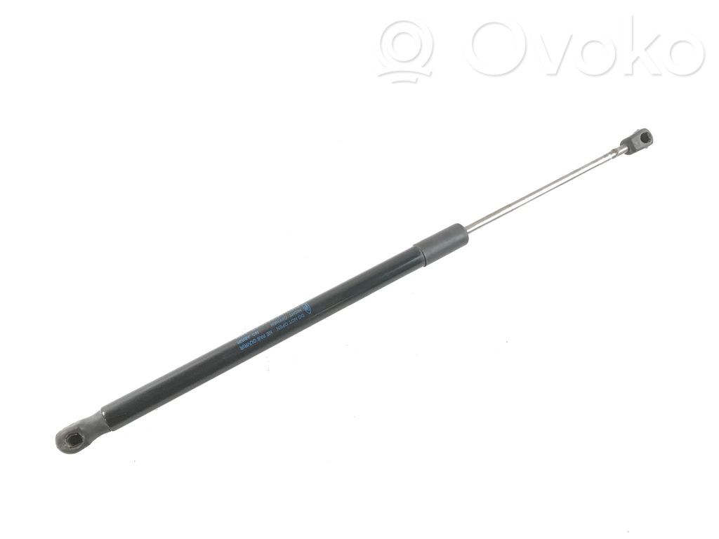 Ford Focus Tailgate/trunk strut/damper 