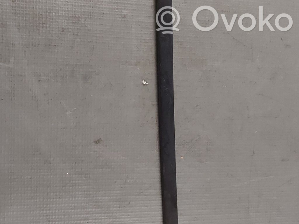 Windshield trim   89A854328