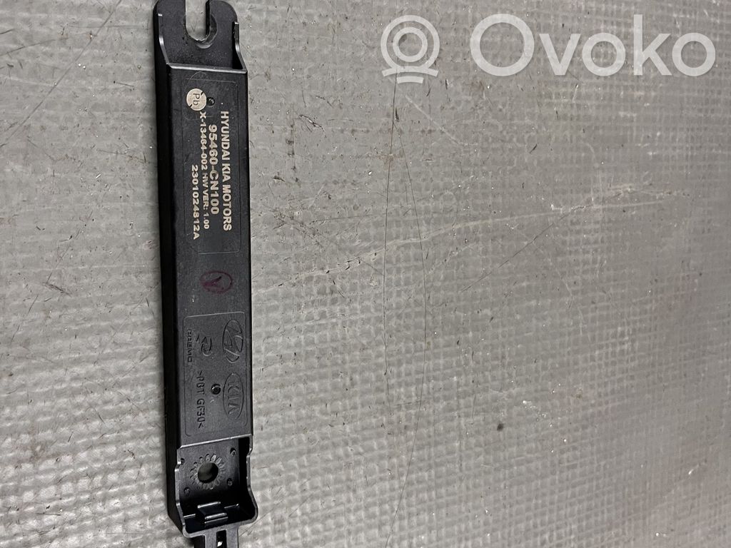 Antenne des Keyless-Systems   95460CN100